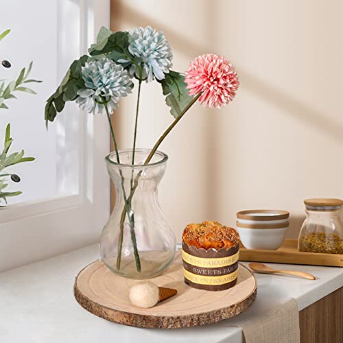 FORACKS Natural Round Wood Slices 6 Pack 8-9 inches Unfinished Wood kit Circles DIY Crafts Wood Ornament Discs