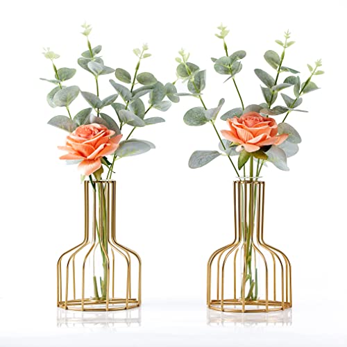 2PC Gold Vase for Centerpieces Home Decor, Clear Glass Test Tube Vases Decorative, 3.9" W x 5.9" H Metal Modern Flower Vase, Small Bud Vases Gifts for Women Wedding Living Room Table Decorations