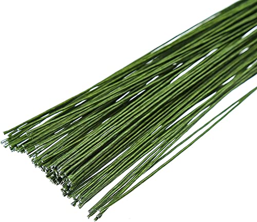 FOIMAS 18 Gague Floral Stem Wire,100pcs Paper Wrapped Florist Wire for Floral Arrangement