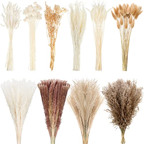 324 Pcs Dried Pampas Grass Decor Bulk 17 Inch White Pampas Reed Grass Fluffy Pampas Grass Tall 10 Various Natural Dried Flower Bouquet Original Bunny Tails for Home Table Wedding Party Boho Decor