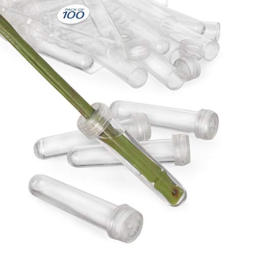 Floral Water Tubes/Vials for Flower Arrangements by Royal Imports, Clear - 3" (1/2" Opening) - Standard - 100/Pack - w/Caps