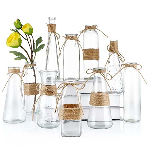 MDLUU Glass Bud Vase, Decorative Glass Bottle with Rope Net, Different Shapes for Wedding Centerpiece, Party, Home Decor, Set of 10