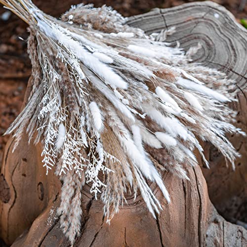 Natural Dried Pampas Grass Bouquet 86PCS + 10PCS Grass ,Boho Home Decor Bouquet, Phragmites Dried Flowers,Bouquet for Wedding Floral Arrangements Home Decorations